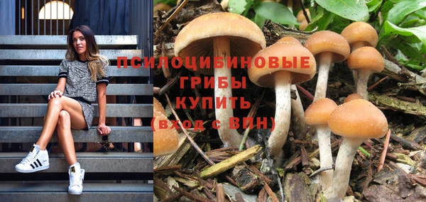 эйфоретик Арсеньев