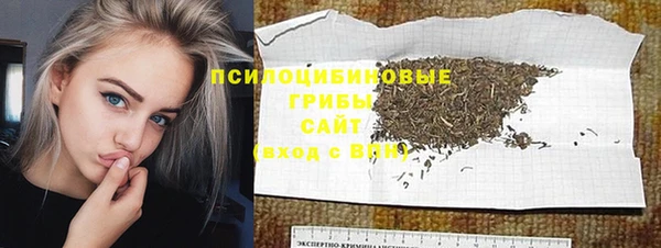 эйфоретик Арсеньев