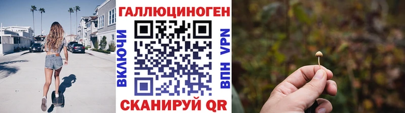 где купить   Лахденпохья  Галлюциногенные грибы Magic Shrooms 